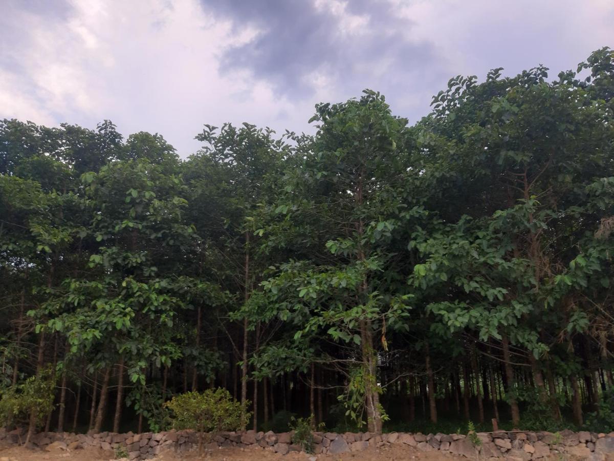 Du Nam Rever Side カッティエン エクステリア 写真